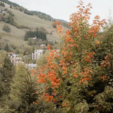 Chalet Luxury Black Mountain - 4br, Sleeps 10, Fireplace, Mountain Views & Garden -