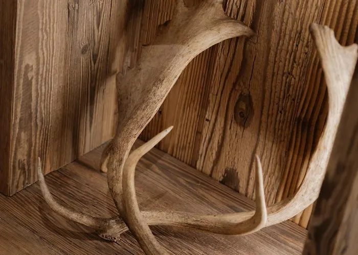 木屋 Luxury Black Mountain - 4br, Sleeps 10, Fireplace, Mountain Views & Garden -