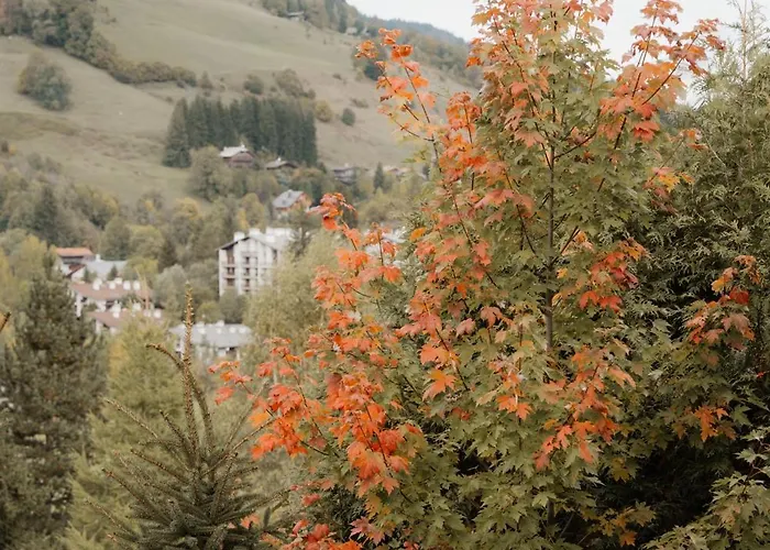 木屋 Luxury Black Mountain - 4br, Sleeps 10, Fireplace, Mountain Views & Garden -